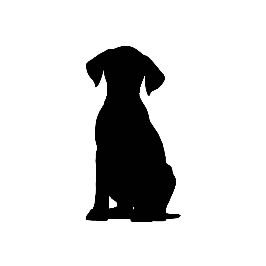 Illustration du chien Nelson