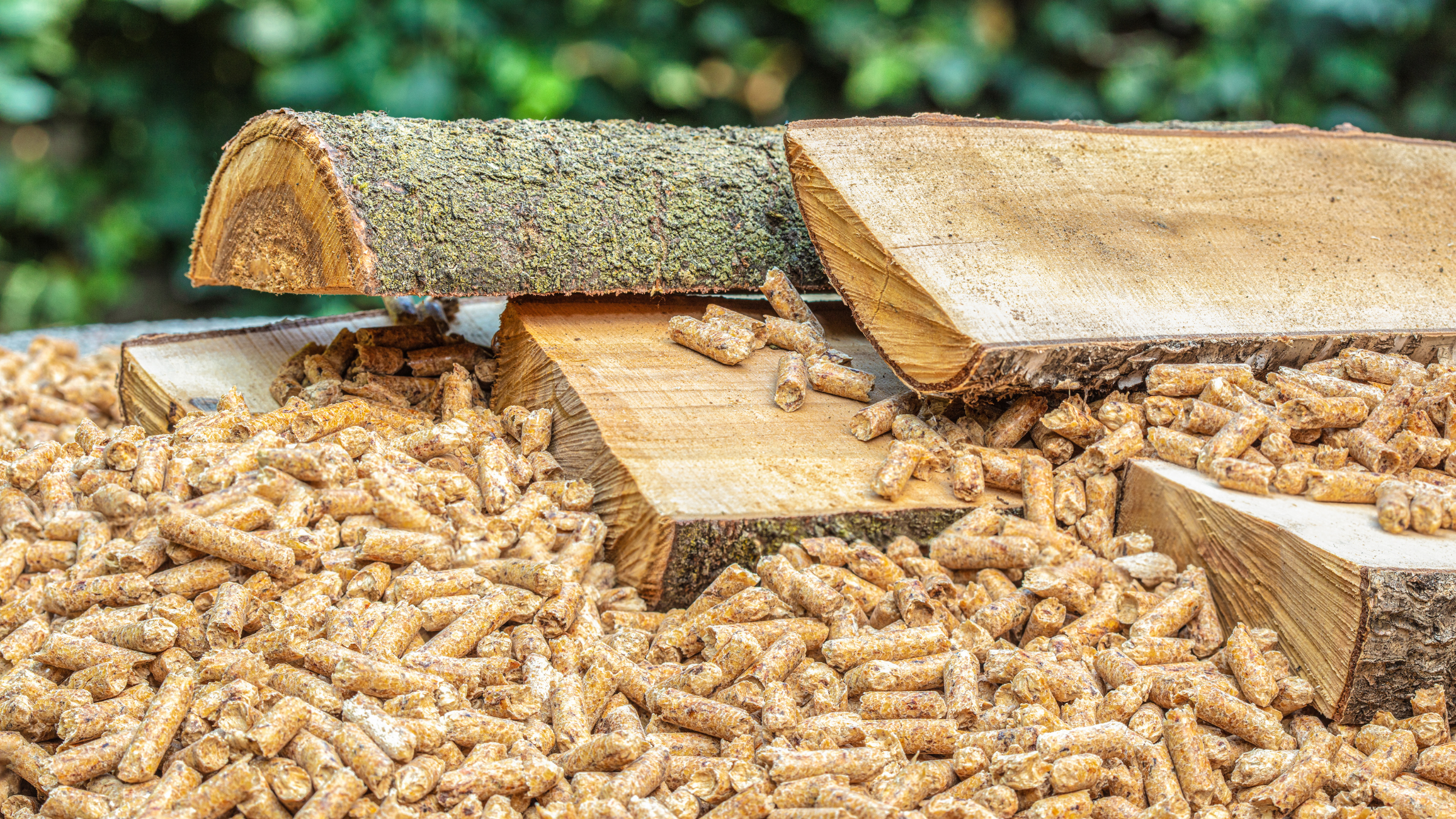 Illustration de pellets