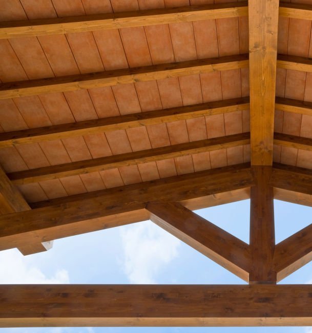 Illustration de volige